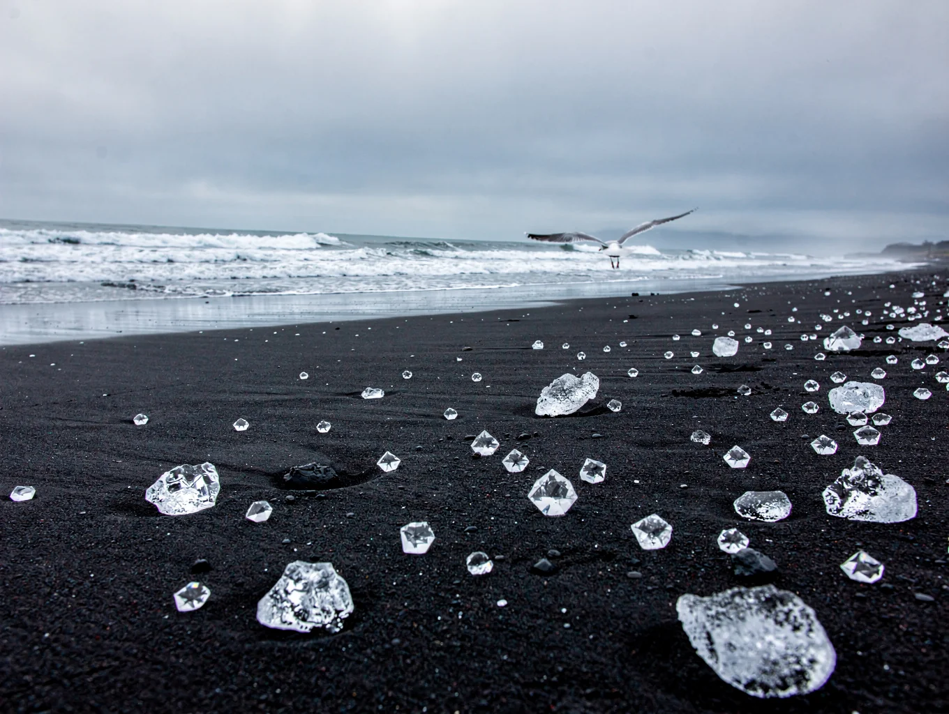 Sculpted glacial ice stranded on volcanic black sand beach with sea foam